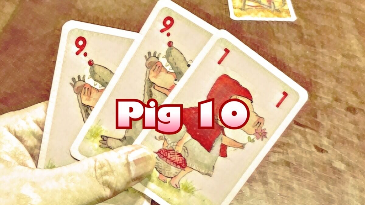 Pig 10