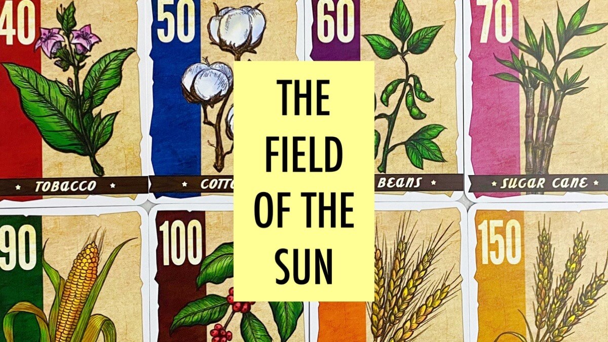 the field of the sun
