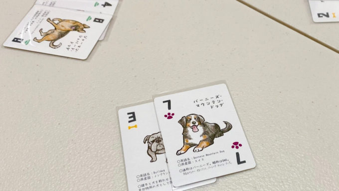 カードゲームのドッグタッグトリック