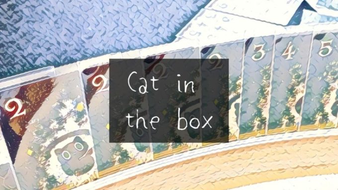 Cat in the box