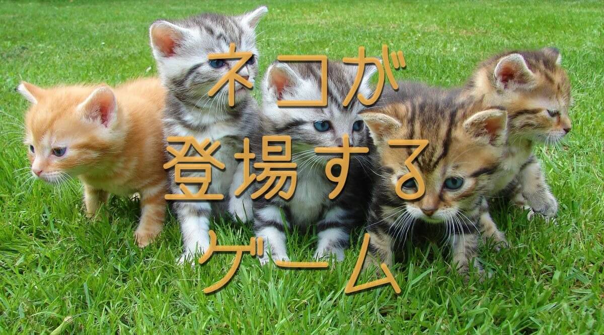 猫特集