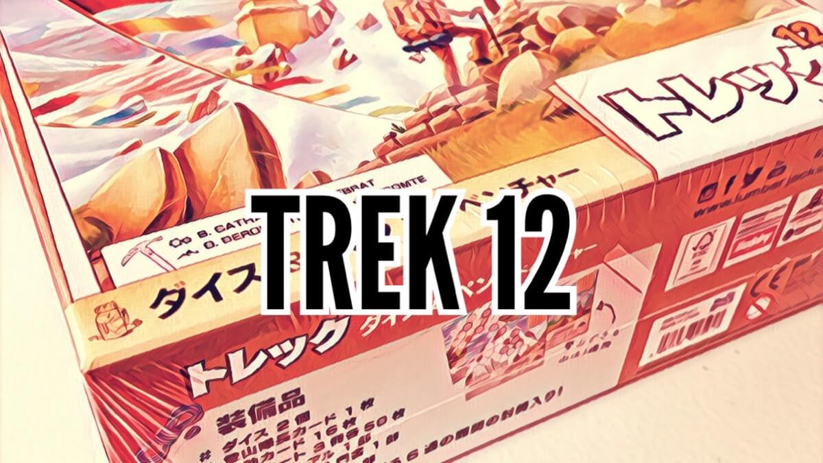TREK 12